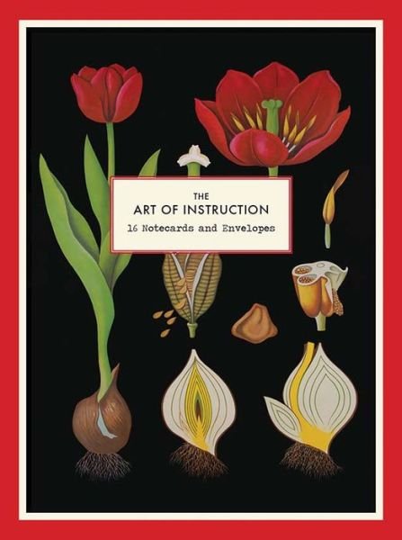 The Art of Instruction Notecard Set: 16 Notecards and Envelopes - Art of Instruction - Chronicle Books - Livres - Chronicle Books - 9781452125558 - 1 avril 2014