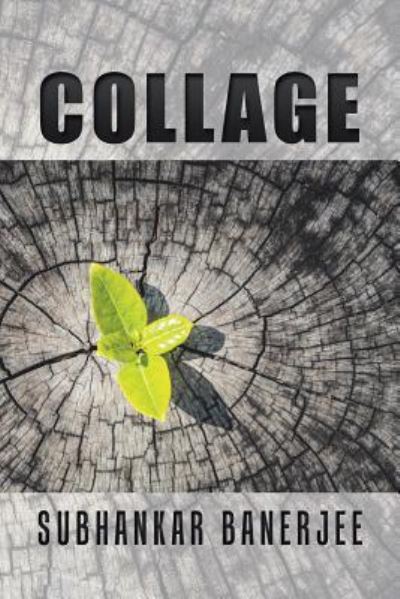 Cover for Subhankar Banerjee · Collage (Paperback Book) (2016)