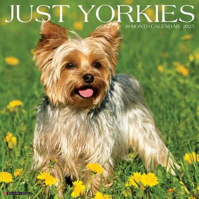 Willow Creek Press · Just Yorkies 2025 12 X 12 Wall Calendar (Kalender) (2024)