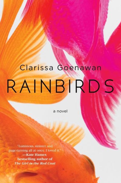 Cover for Clarissa Goenawan · Rainbirds (Hardcover Book) (2018)