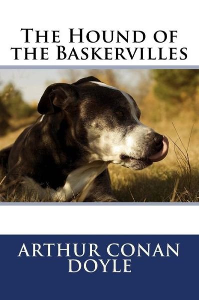 The Hound of the Baskervilles - Sir Arthur Conan Doyle - Bücher - Createspace Independent Publishing Platf - 9781718791558 - 6. Mai 2018