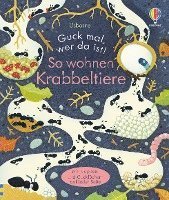 Cover for Anna Milbourne · Guck mal, wer da ist! So wohnen Krabbeltiere (Gebundenes Buch) (2022)