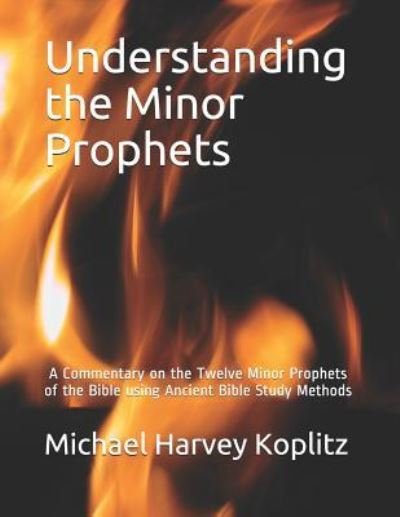 Cover for Michael Harvey Koplitz · Understanding the Minor Prophets (Paperback Book) (2019)