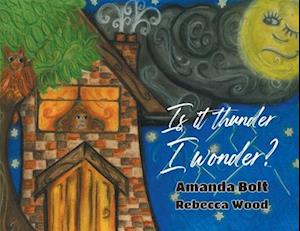 Cover for Amanda Bolt · Is it thunder, I wonder? (Paperback Bog) (2024)