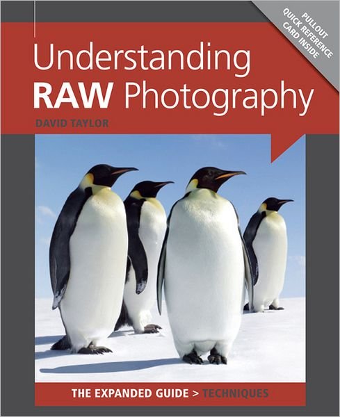 Cover for D Taylor · Understanding RAW Photography (Pocketbok) (2012)