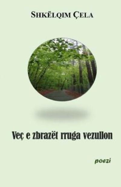 Cover for Shkelqim Cela · Vec E Zbrazet Rruga Vezullon (Paperback Book) (2017)