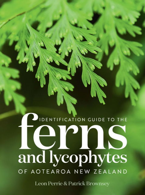 Leon Perry · Identification Guide to the Ferns and Lycophytes of Aotearoa NZ (Paperback Book) (2024)