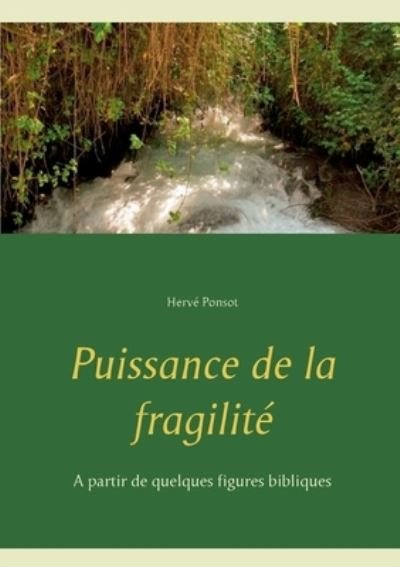 Cover for Hervé Ponsot · Puissance de la fragilite (Taschenbuch) (2021)
