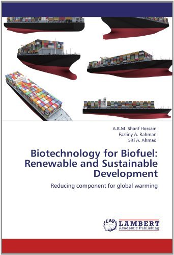 Cover for Siti A.  Ahmad · Biotechnology for Biofuel: Renewable and Sustainable Development: Reducing Component for Global Warming (Paperback Book) (2012)