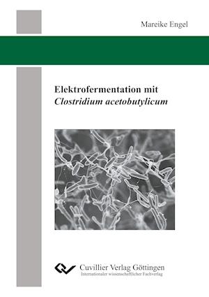 Cover for Mareike Engel · Elektrofermentation mit Clostridium acetobutylicum (Paperback Book) (2019)