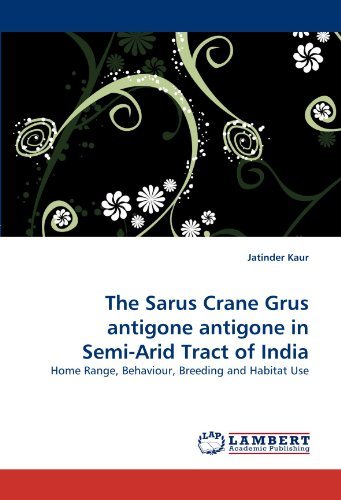 Cover for Jatinder Kaur · The Sarus Crane Grus Antigone Antigone in Semi-arid Tract of India: Home Range, Behaviour, Breeding and Habitat Use (Pocketbok) (2010)