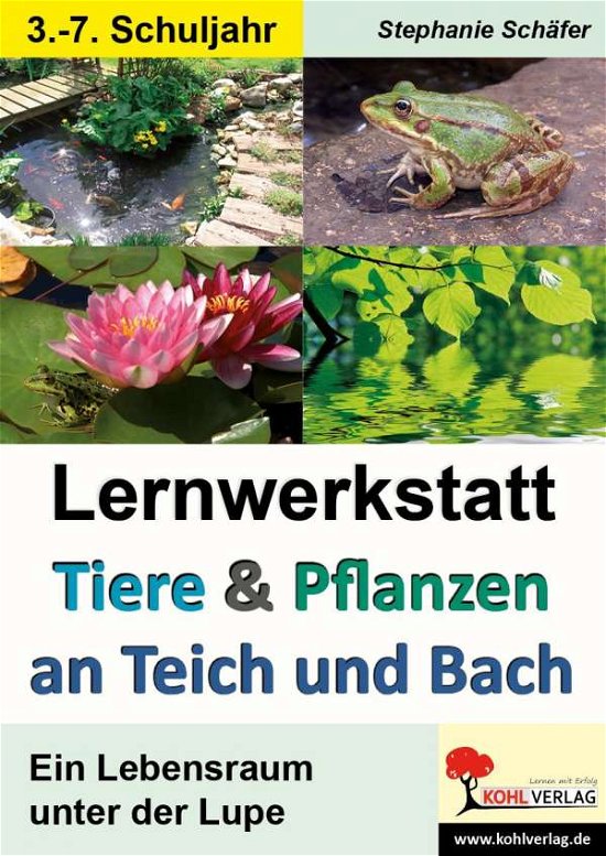 Cover for Schäfer · Tiere &amp; Pflanzen an Teich (Bok)