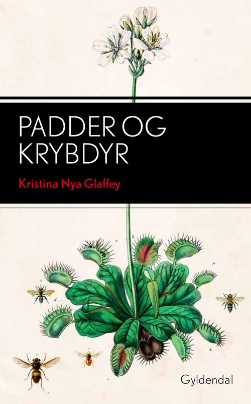 Cover for Kristina Nya Glaffey · Padder og krybdyr (Poketbok) [1:a utgåva] (2012)