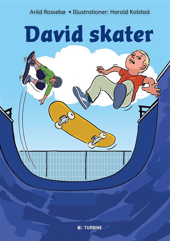 Cover for Arild Rossebø · David skater (Hardcover Book) [1st edition] (2017)