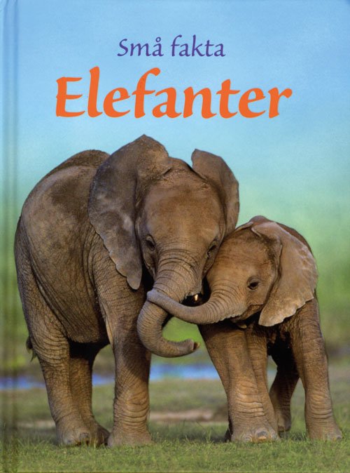 Små fakta: Små fakta: Elefanter - James Maclaine - Livros - Flachs - 9788762717558 - 8 de agosto de 2011