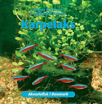 Akvariefisk i Danmark.: Karpelaks - Benny B. Larsen - Bøger - Atelier - 9788778574558 - 19. maj 2005