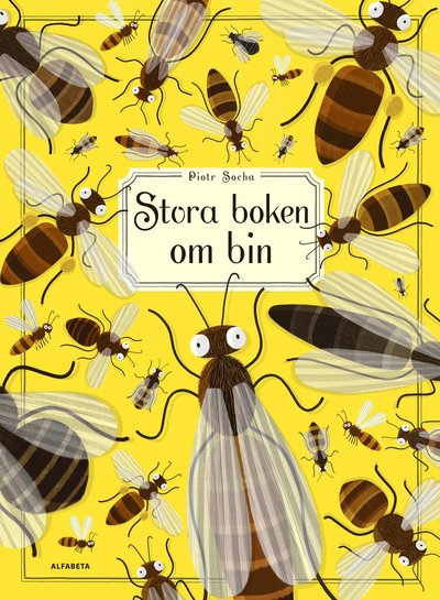 Cover for Piotr Socha · Stora boken om bin (Hardcover Book) (2017)
