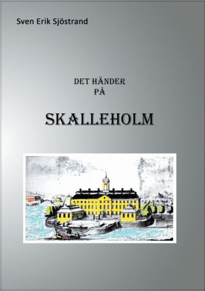 Cover for Sjöstrand · Det händer på Skalleholm (Buch) (2016)