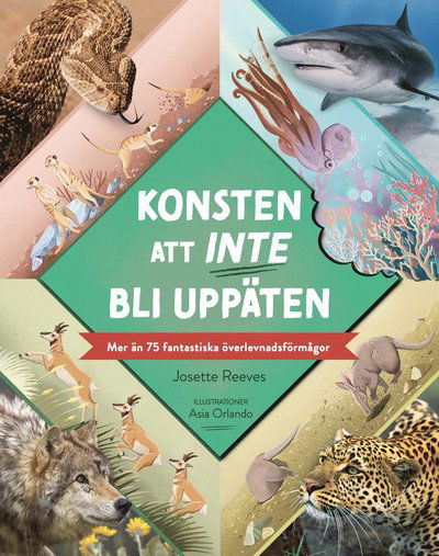 Cover for Josette Reeves · Konsten att inte bli uppäten (Innbunden bok) (2022)