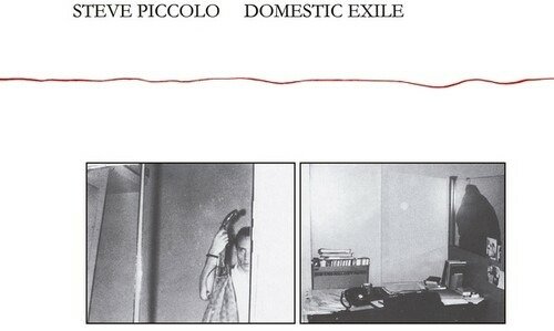 Cover for Steve Piccolo · Domestic Exile (CD) (2020)