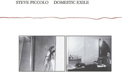 Domestic Exile - Steve Piccolo - Muzyka - MENTAL EXPERIENCE - 4040824089559 - 26 czerwca 2020