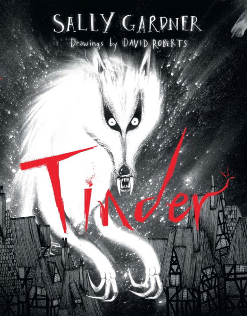 Cover for Sally Gardner · Tinder (Inbunden Bok) (2025)