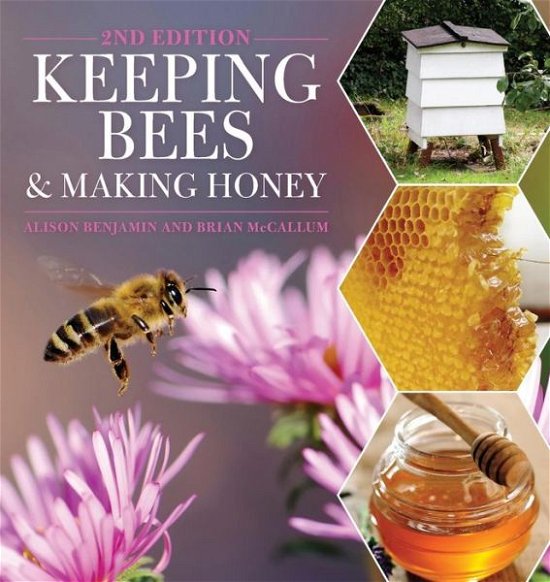 Cover for Alison Benjamin · Keeping Bees and Making Honey (Pocketbok) [2 Revised edition] (2013)