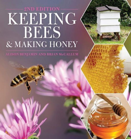 Cover for Alison Benjamin · Keeping Bees and Making Honey (Paperback Book) [2 Revised edition] (2013)