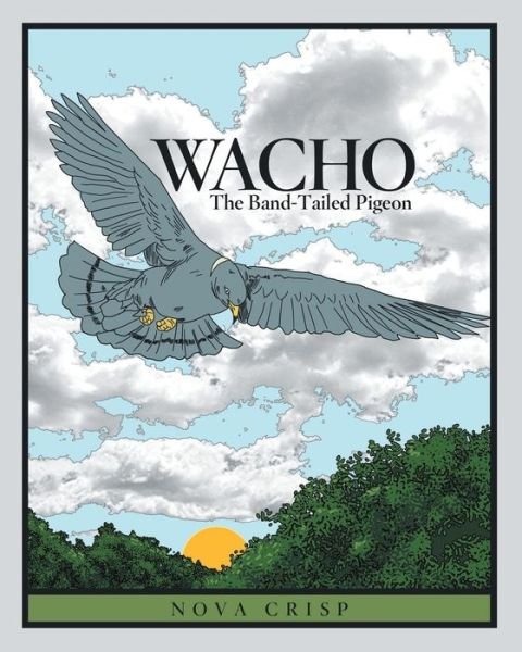 Cover for Nova Crisp · Wacho: the Band-tailed Pigeon (Paperback Bog) (2015)