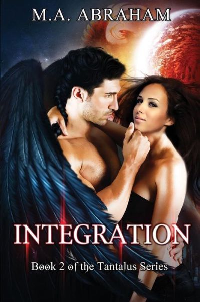 Cover for M a Abraham · Integration (Paperback Bog) (2015)