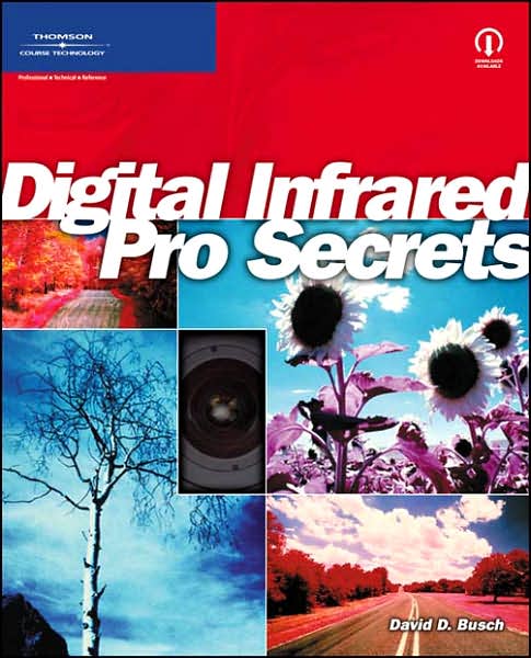 Cover for David Busch · David Busch's Digital Infrared Pro Secrets (Book) (2007)