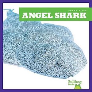 Cover for Jenna Lee Gleisner · Angel Shark - Shark Bites (Hardcover Book) (2020)