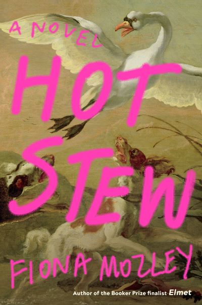 Cover for Fiona Mozley · Hot Stew (Book) (2021)