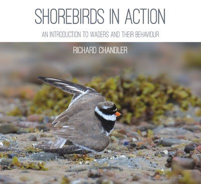 Cover for Richard Chandler · Shorebirds in Action: An Introduction to Waders and Their Behaviour (Paperback Book) (2017)