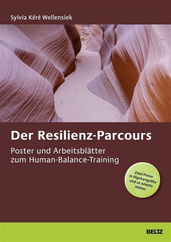 Cover for Wellensiek · Der Resilienz-Parcours (Bog)