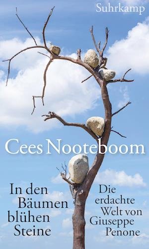 Cover for Cees Nooteboom · In den Bäumen blühen Steine (Book) (2023)