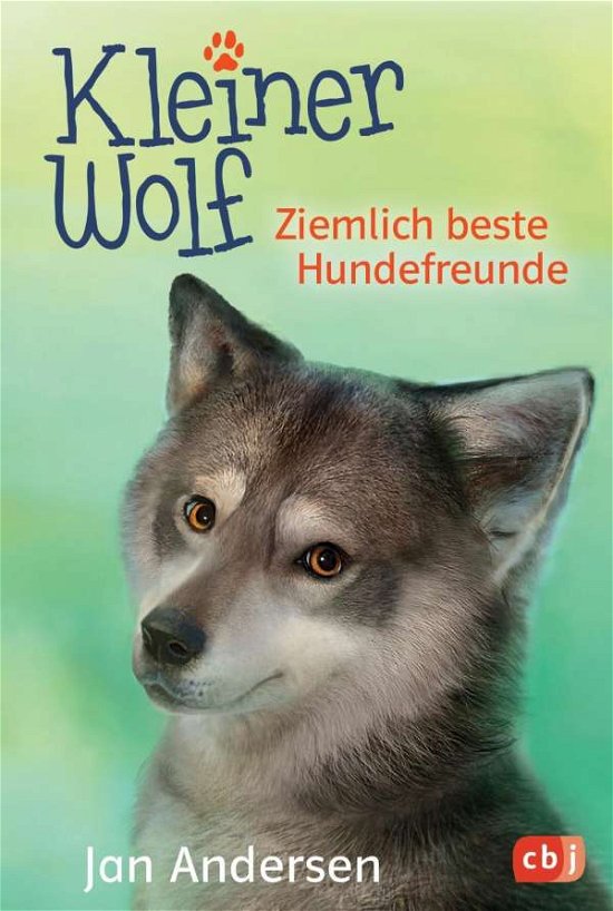 Cover for Andersen · Kleiner Wolf - Ziemlich beste (Bog)