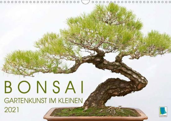 Cover for Bonsai · Gartenkunst im Kleinen (Wandkal (Book)