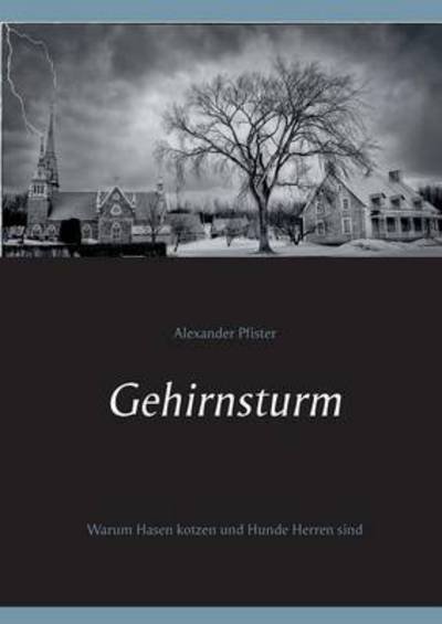 Cover for Pfister · Gehirnsturm (Book) (2015)
