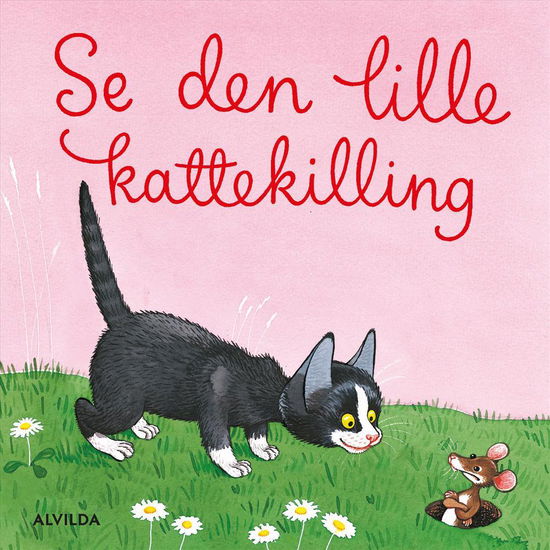 Cover for Bente Bech · Se den lille kattekilling (miniudgave) (Cardboard Book) [1st edition] (2017)