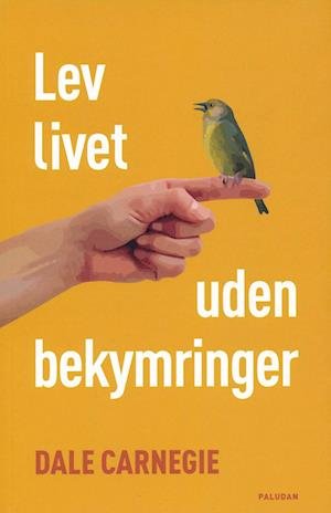 Cover for Lev livet uden bekymringer (Taschenbuch) [2. Ausgabe] (2001)
