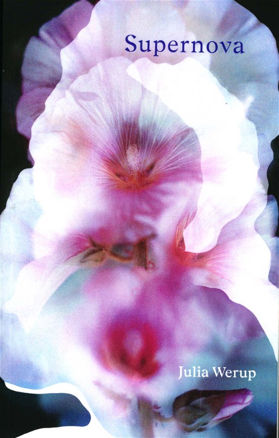 Cover for Julia Werup · Supernova (Sewn Spine Book) [1e uitgave] (2019)