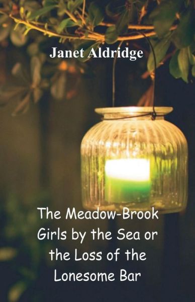 Cover for Janet Aldridge · The Meadow-Brook Girls by the Sea (Paperback Book) (2018)