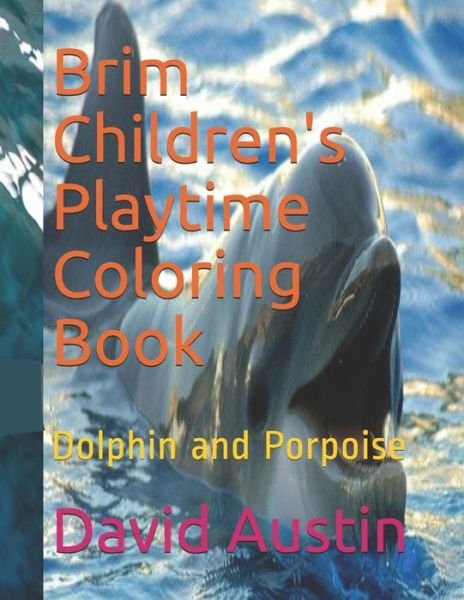 Cover for David Austin · Brim Children's Playtime Coloring Book (Paperback Bog) (2020)
