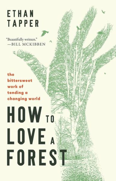 Cover for Ethan Tapper · How to Love a Forest: The Bittersweet Work of Tending a Changing World (Hardcover Book) (2024)