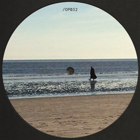 Cover for Nicolas Jaar · Nymphs III [12&quot; Vinyl] (12&quot;) (2021)