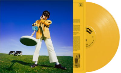 Cover for Declan Mckenna · What Happened To The Beach? (Yellow Vinyl) (Indies) (LP) (2024)