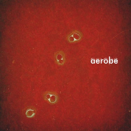 Cover for Aerobe (CD) (2016)