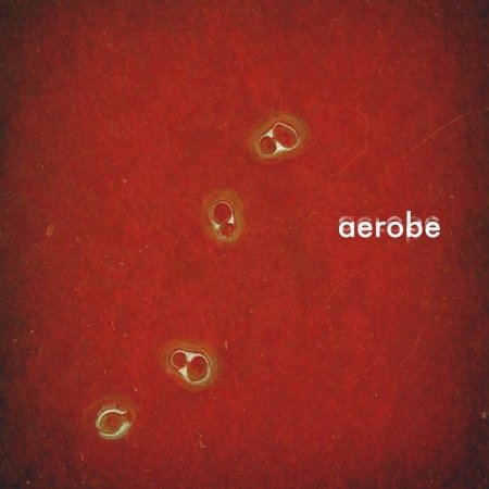 Cover for Aerobe (CD) (2016)