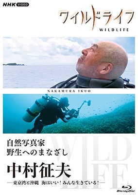 Cover for (Documentary) · Wild Life Shizen Shashinka Yasei He No Manazashi Nakamura Ikuo -tokyo Wan to Oki (MBD) [Japan Import edition] (2022)